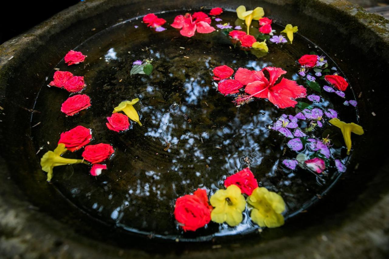 Casa Susegad Hotel Madgaon Luaran gambar